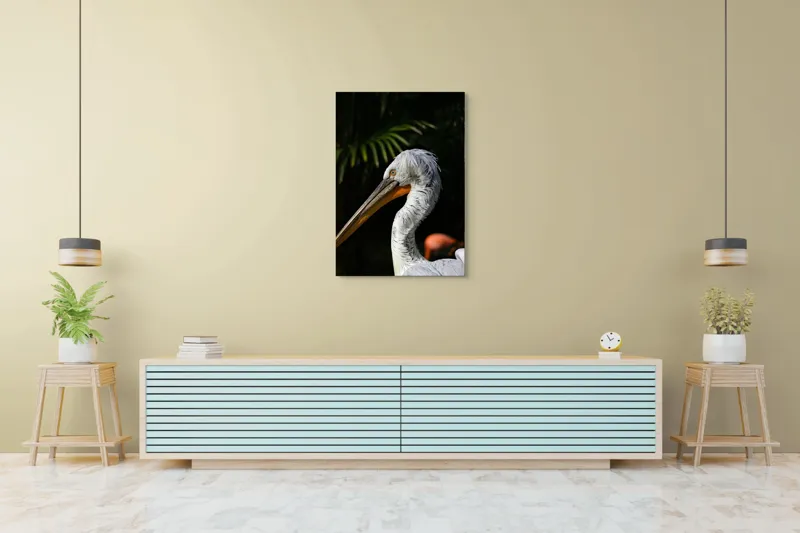 Tablou Canvas, "Pelică alb în lumina dimineții", Pasăre, Pelican, Alb, Cioc, Lung, Pene, Textură, Ochii, Contrast, Vegetație, 70 x 100 cm – poza 5