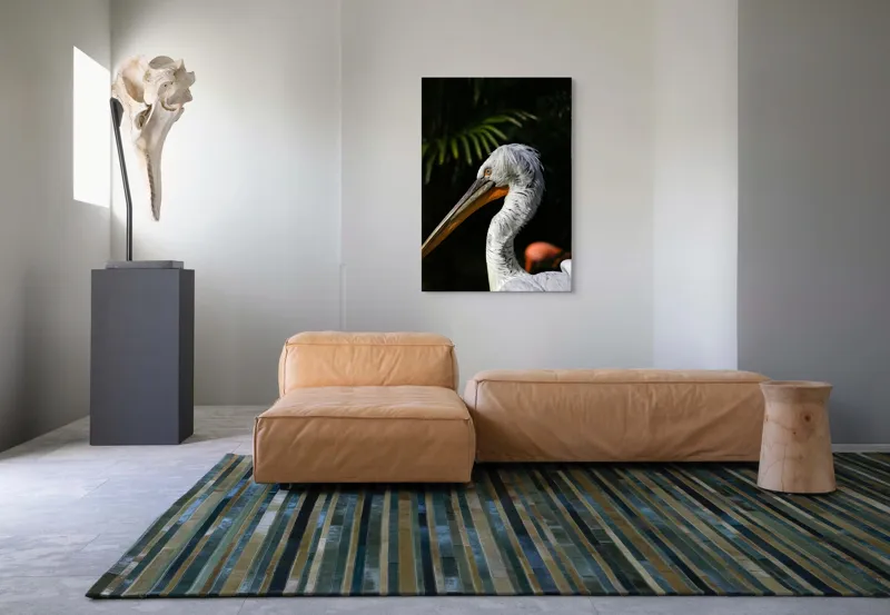 Tablou Canvas, "Pelică alb în lumina dimineții", Pasăre, Pelican, Alb, Cioc, Lung, Pene, Textură, Ochii, Contrast, Vegetație, 70 x 100 cm – poza 7