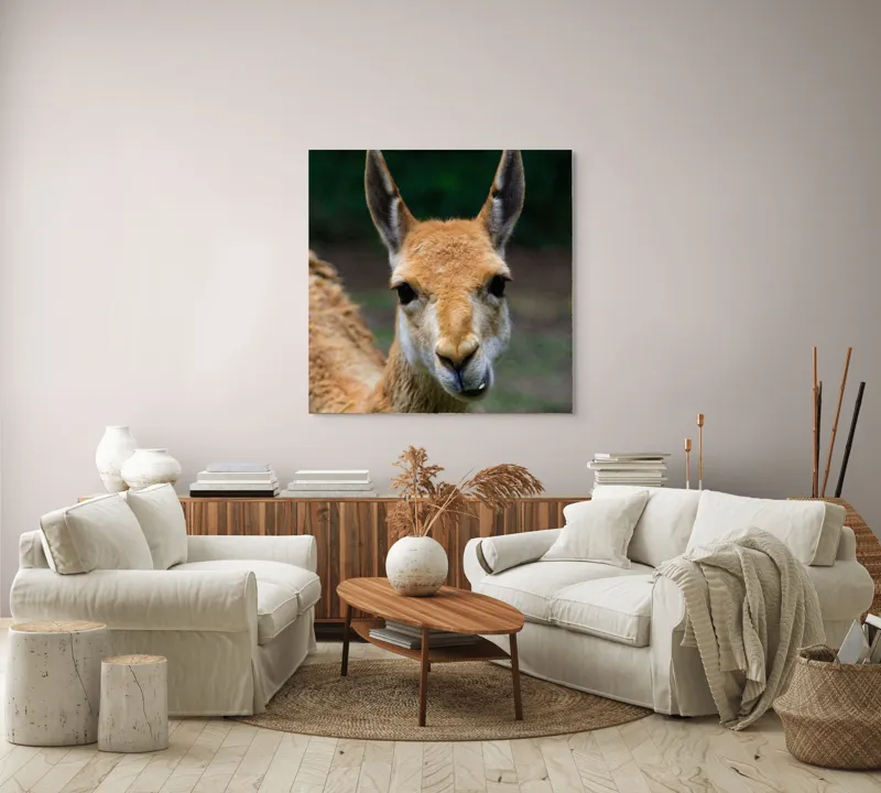 Tablou Canvas, 100 x 100 cm – poza 3