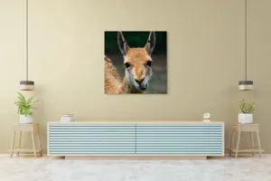 Tablou Canvas, 100 x 100 cm – poza 5
