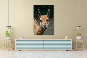 Tablou Canvas, 100 x 150 cm – poza 4