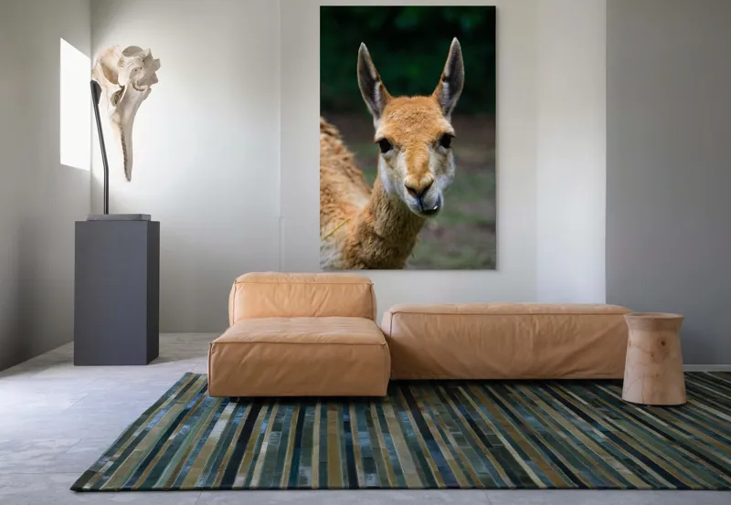 Tablou Canvas, 100 x 150 cm – poza 7