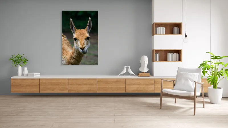 Tablou Canvas, 100 x 150 cm – poza 8