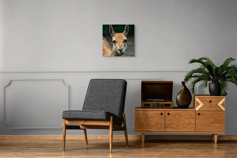 Tablou Canvas, 50 x 50 cm – poza 6