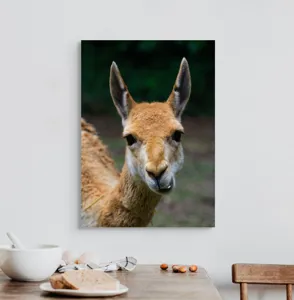 Tablou Canvas, 50 x 70 cm – poza 3