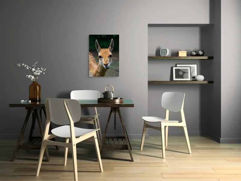 Tablou Canvas, 50 x 70 cm – poza 5