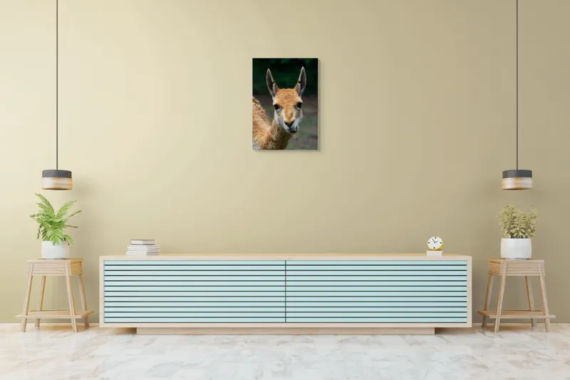 Tablou Canvas, 50 x 70 cm – poza 6