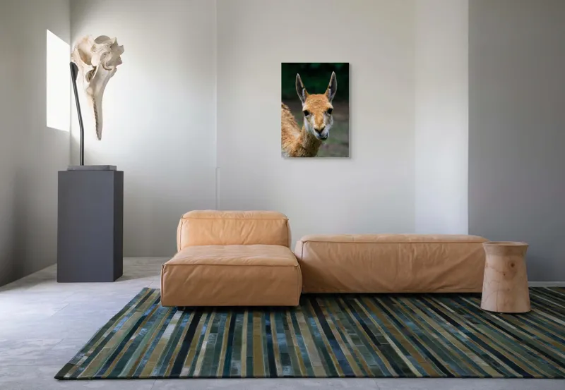 Tablou Canvas, 50 x 70 cm – poza 7