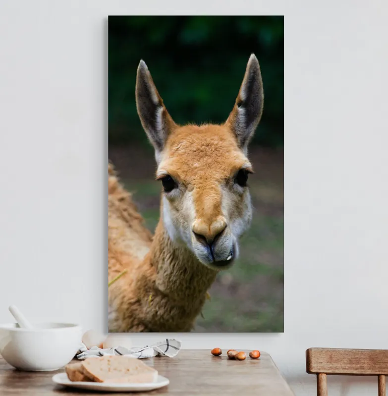 Tablou Canvas, 50 x 90 cm – poza 3