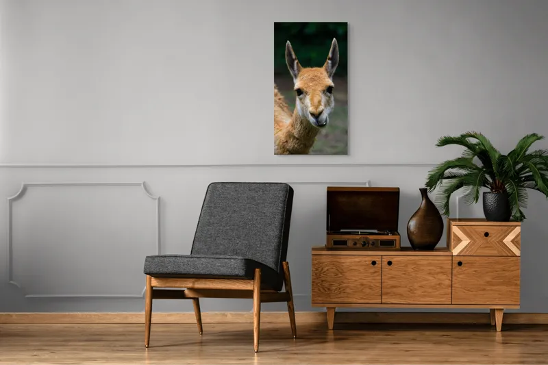 Tablou Canvas, 50 x 90 cm – poza 8