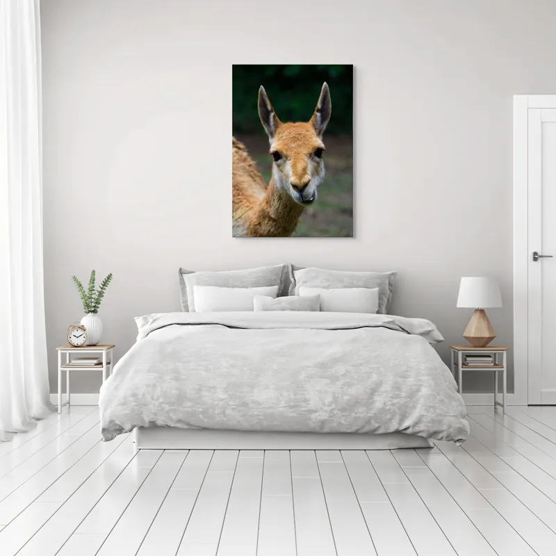 Tablou Canvas, 70 x 100 cm – poza 3