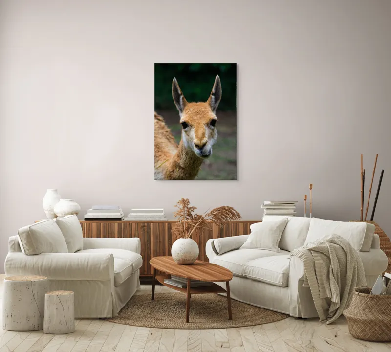 Tablou Canvas, 70 x 100 cm – poza 4
