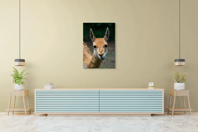 Tablou Canvas, 70 x 100 cm – poza 5