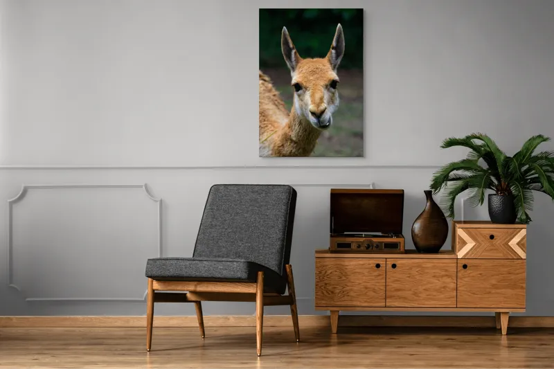 Tablou Canvas, 70 x 100 cm – poza 6