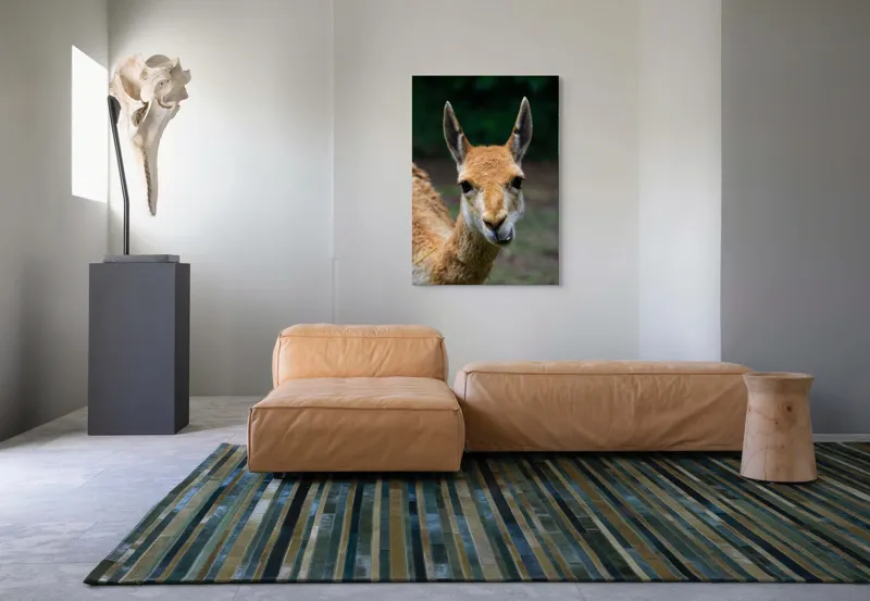 Tablou Canvas, 70 x 100 cm – poza 7