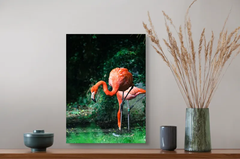 Tablou Canvas, "Flamingo în lumina dimineții răcoroase", Flamingo, Eleganță, Frumusețe, Natură, Roz, Verdeață, Grație, Reflecție, 39 x 54 cm – poza 3