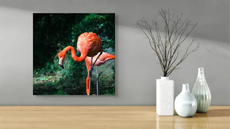 Tablou Canvas, "Flamingo în lumina dimineții răcoroase", Flamingo, Eleganță, Frumusețe, Natură, Roz, Verdeață, Grație, Reflecție, 50 x 50 cm – poza 3