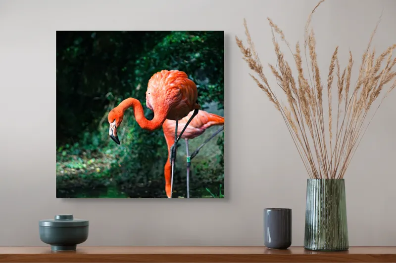 Tablou Canvas, "Flamingo în lumina dimineții răcoroase", Flamingo, Eleganță, Frumusețe, Natură, Roz, Verdeață, Grație, Reflecție, 50 x 50 cm – poza 4