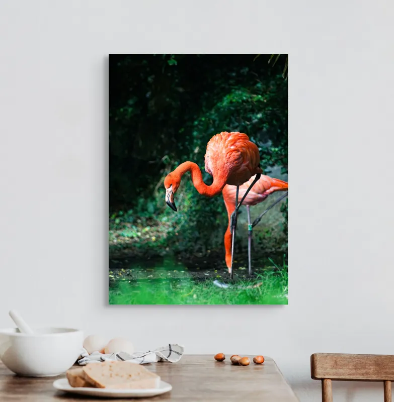 Tablou Canvas, "Flamingo în lumina dimineții răcoroase", Flamingo, Eleganță, Frumusețe, Natură, Roz, Verdeață, Grație, Reflecție, 50 x 70 cm – poza 3