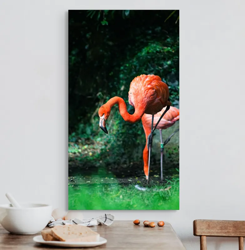Tablou Canvas, "Flamingo în lumina dimineții răcoroase", Flamingo, Eleganță, Frumusețe, Natură, Roz, Verdeață, Grație, Reflecție, 50 x 90 cm – poza 3