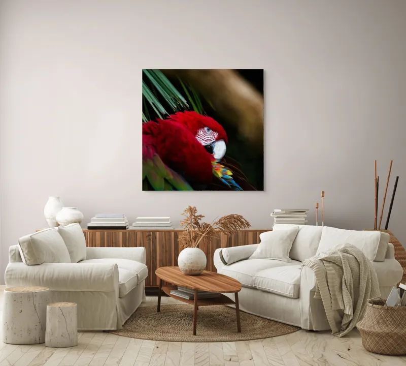 Tablou Canvas, "Papagal odihnindu-se în verdele tropical", Roșu, Papagal, Penaj, Frumos, Diversitate, Natural, Plante, Exotism, Textură, Privire, Culoare, 100 x 100 cm – poza 3