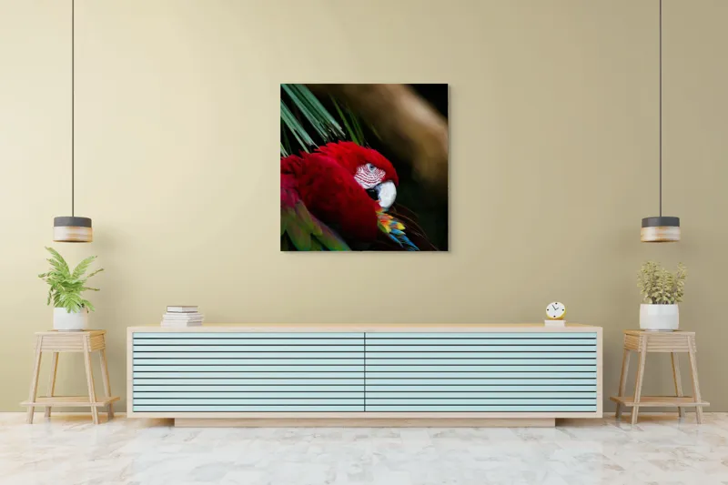 Tablou Canvas, "Papagal odihnindu-se în verdele tropical", Roșu, Papagal, Penaj, Frumos, Diversitate, Natural, Plante, Exotism, Textură, Privire, Culoare, 100 x 100 cm – poza 5