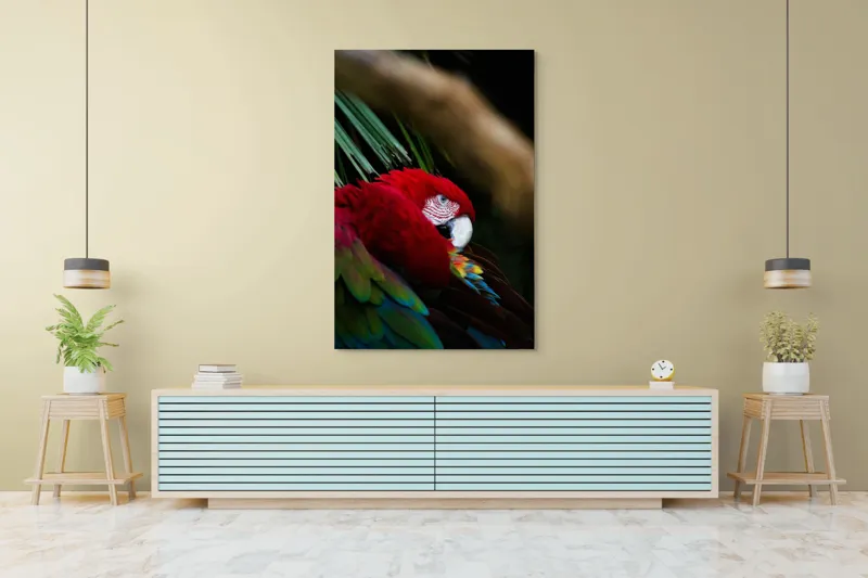 Tablou Canvas, "Papagal odihnindu-se în verdele tropical", Roșu, Papagal, Penaj, Frumos, Diversitate, Natural, Plante, Exotism, Textură, Privire, Culoare, 100 x 150 cm – poza 4