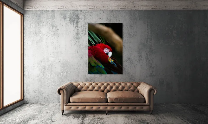 Tablou Canvas, "Papagal odihnindu-se în verdele tropical", Roșu, Papagal, Penaj, Frumos, Diversitate, Natural, Plante, Exotism, Textură, Privire, Culoare, 100 x 150 cm – poza 6
