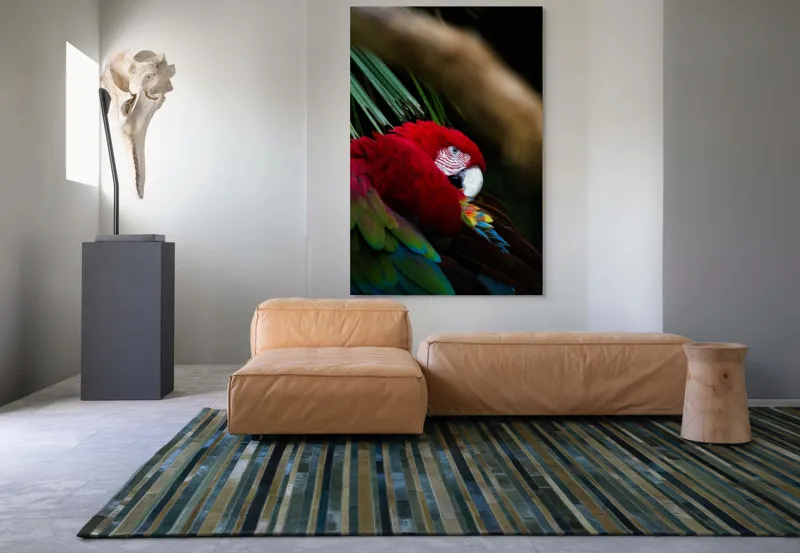 Tablou Canvas, "Papagal odihnindu-se în verdele tropical", Roșu, Papagal, Penaj, Frumos, Diversitate, Natural, Plante, Exotism, Textură, Privire, Culoare, 100 x 150 cm – poza 7
