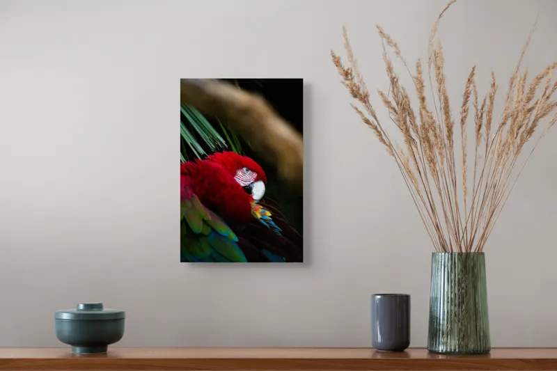 Tablou Canvas, "Papagal odihnindu-se în verdele tropical", Roșu, Papagal, Penaj, Frumos, Diversitate, Natural, Plante, Exotism, Textură, Privire, Culoare, 26 x 39 cm – poza 5