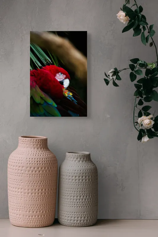 Tablou Canvas, "Papagal odihnindu-se în verdele tropical", Roșu, Papagal, Penaj, Frumos, Diversitate, Natural, Plante, Exotism, Textură, Privire, Culoare, 26 x 39 cm – poza 6