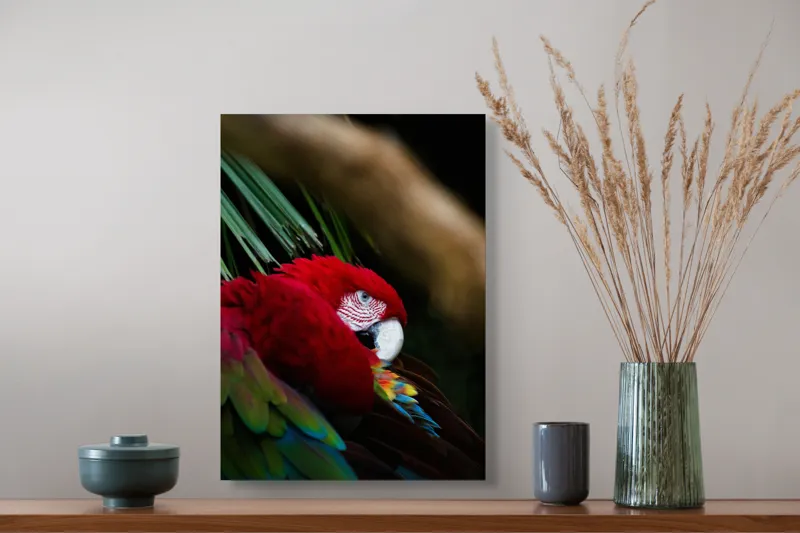 Tablou Canvas, "Papagal odihnindu-se în verdele tropical", Roșu, Papagal, Penaj, Frumos, Diversitate, Natural, Plante, Exotism, Textură, Privire, Culoare, 39 x 54 cm – poza 3
