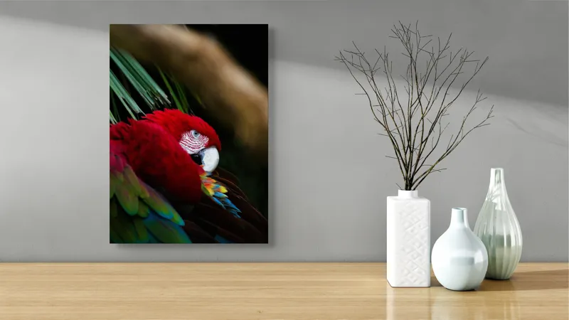 Tablou Canvas, "Papagal odihnindu-se în verdele tropical", Roșu, Papagal, Penaj, Frumos, Diversitate, Natural, Plante, Exotism, Textură, Privire, Culoare, 39 x 54 cm – poza 4