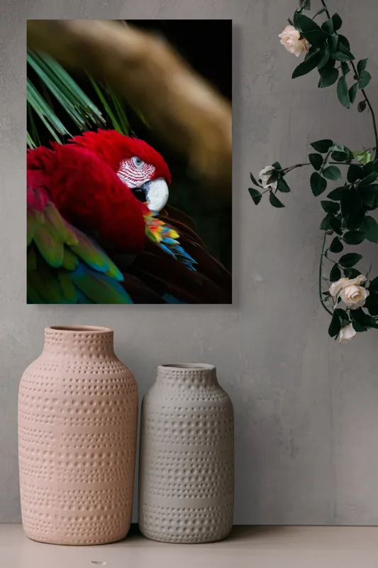 Tablou Canvas, "Papagal odihnindu-se în verdele tropical", Roșu, Papagal, Penaj, Frumos, Diversitate, Natural, Plante, Exotism, Textură, Privire, Culoare, 39 x 54 cm – poza 6