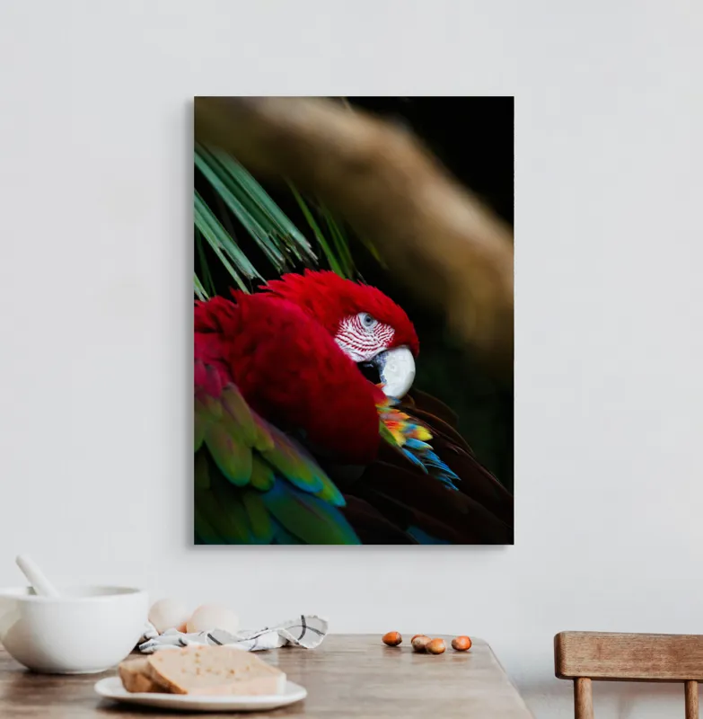 Tablou Canvas, "Papagal odihnindu-se în verdele tropical", Roșu, Papagal, Penaj, Frumos, Diversitate, Natural, Plante, Exotism, Textură, Privire, Culoare, 50 x 70 cm – poza 3