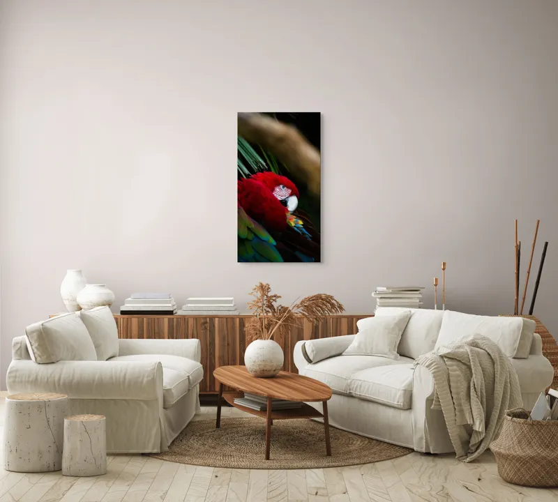 Tablou Canvas, "Papagal odihnindu-se în verdele tropical", Roșu, Papagal, Penaj, Frumos, Diversitate, Natural, Plante, Exotism, Textură, Privire, Culoare, 50 x 90 cm – poza 7