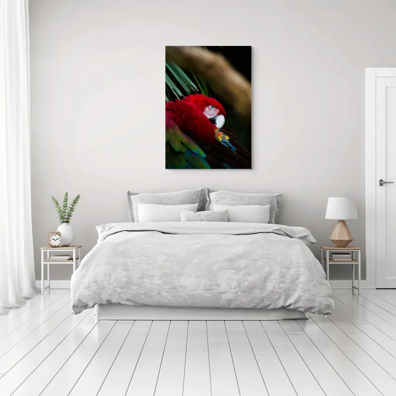 Tablou Canvas, "Papagal odihnindu-se în verdele tropical", Roșu, Papagal, Penaj, Frumos, Diversitate, Natural, Plante, Exotism, Textură, Privire, Culoare, 70 x 100 cm – poza 3