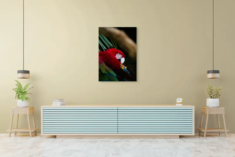 Tablou Canvas, "Papagal odihnindu-se în verdele tropical", Roșu, Papagal, Penaj, Frumos, Diversitate, Natural, Plante, Exotism, Textură, Privire, Culoare, 70 x 100 cm – poza 5