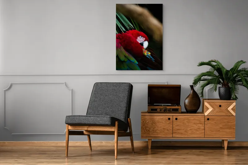Tablou Canvas, "Papagal odihnindu-se în verdele tropical", Roșu, Papagal, Penaj, Frumos, Diversitate, Natural, Plante, Exotism, Textură, Privire, Culoare, 70 x 100 cm – poza 6