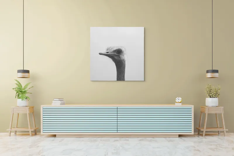 Tablou Canvas, "Privirea enigmatică a struțului curios", Pasăre, Struț, Monocrom, Profil, Blană, Privire, Cer, Contrast., 100 x 100 cm – poza 5