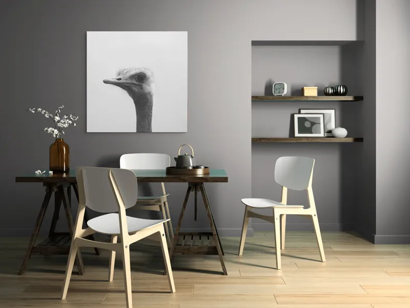 Tablou Canvas, "Privirea enigmatică a struțului curios", Pasăre, Struț, Monocrom, Profil, Blană, Privire, Cer, Contrast., 100 x 100 cm – poza 6