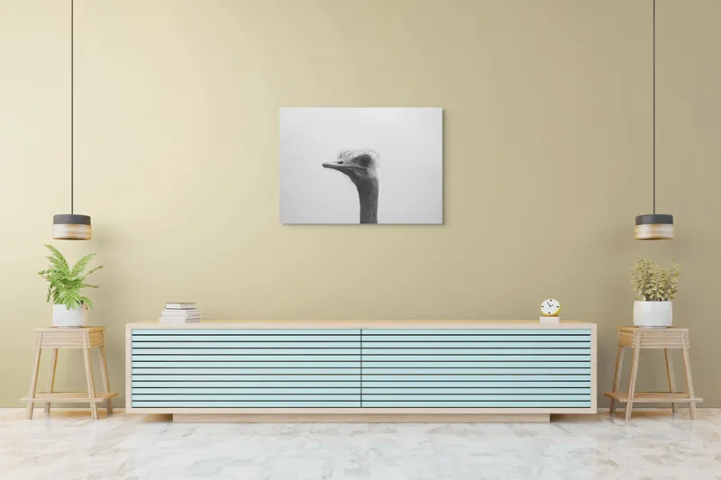 Tablou Canvas, "Privirea enigmatică a struțului curios", Pasăre, Struț, Monocrom, Profil, Blană, Privire, Cer, Contrast., 100 x 70 cm – poza 4