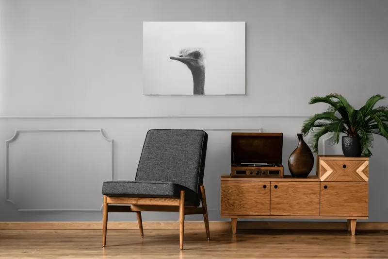 Tablou Canvas, "Privirea enigmatică a struțului curios", Pasăre, Struț, Monocrom, Profil, Blană, Privire, Cer, Contrast., 100 x 70 cm – poza 8