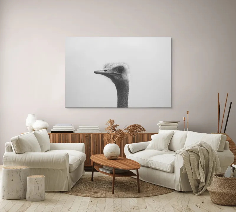 Tablou Canvas, "Privirea enigmatică a struțului curios", Pasăre, Struț, Monocrom, Profil, Blană, Privire, Cer, Contrast., 150 x 100 cm – poza 3