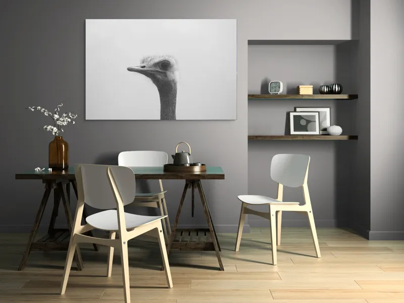 Tablou Canvas, "Privirea enigmatică a struțului curios", Pasăre, Struț, Monocrom, Profil, Blană, Privire, Cer, Contrast., 150 x 100 cm – poza 5