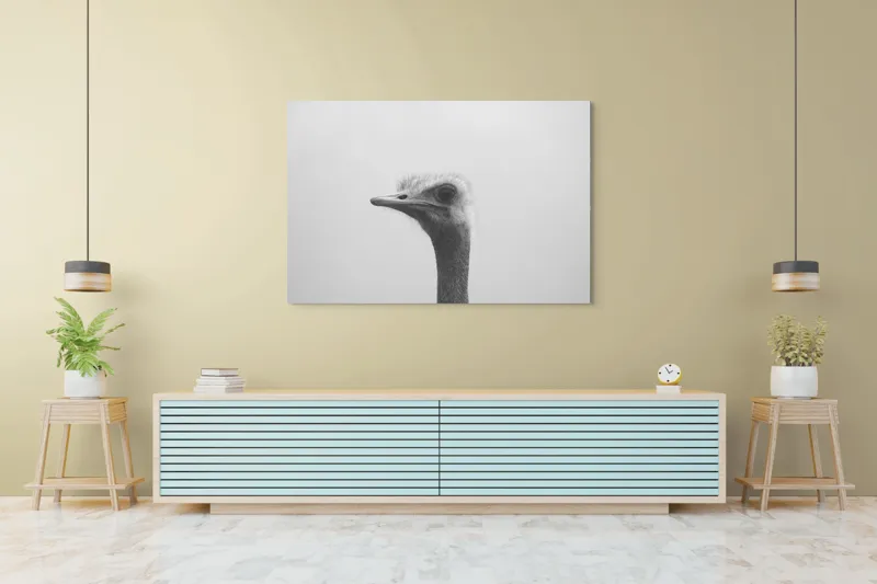 Tablou Canvas, "Privirea enigmatică a struțului curios", Pasăre, Struț, Monocrom, Profil, Blană, Privire, Cer, Contrast., 150 x 100 cm – poza 6