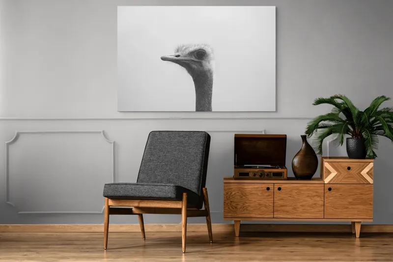 Tablou Canvas, "Privirea enigmatică a struțului curios", Pasăre, Struț, Monocrom, Profil, Blană, Privire, Cer, Contrast., 150 x 100 cm – poza 8