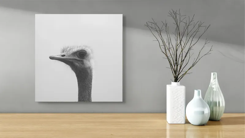 Tablou Canvas, "Privirea enigmatică a struțului curios", Pasăre, Struț, Monocrom, Profil, Blană, Privire, Cer, Contrast., 50 x 50 cm – poza 3