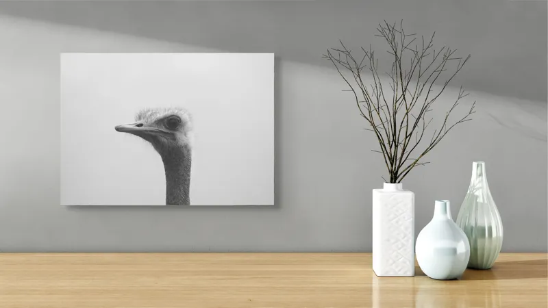 Tablou Canvas, "Privirea enigmatică a struțului curios", Pasăre, Struț, Monocrom, Profil, Blană, Privire, Cer, Contrast., 54 x 39 cm – poza 3