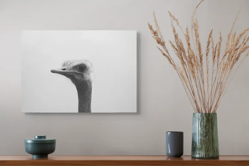 Tablou Canvas, "Privirea enigmatică a struțului curios", Pasăre, Struț, Monocrom, Profil, Blană, Privire, Cer, Contrast., 54 x 39 cm – poza 4